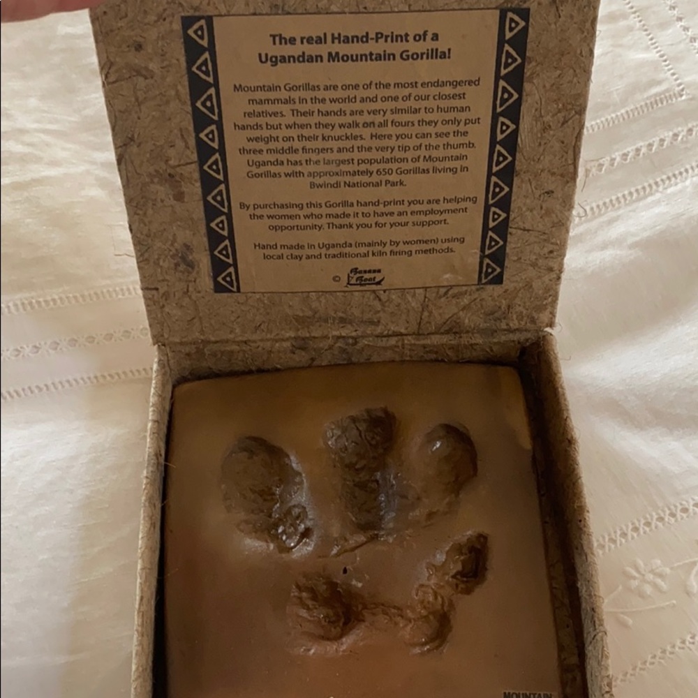 African Ugandan Mountain Gorilla handprint in clay